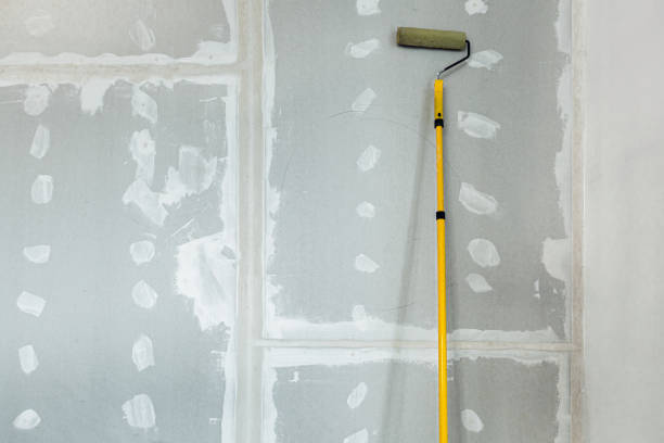 Best Mold Removal for HVAC Installations  in Palermo, NJ