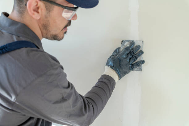 Best Industrial Mold Remediation  in Palermo, NJ