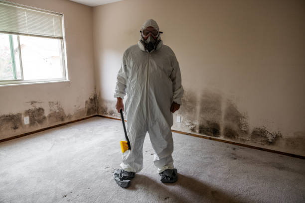 Best HVAC Mold Inspection and Cleaning  in Palermo, NJ
