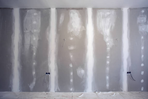 Mold Documentation for Insurance Claims in Palermo, NJ
